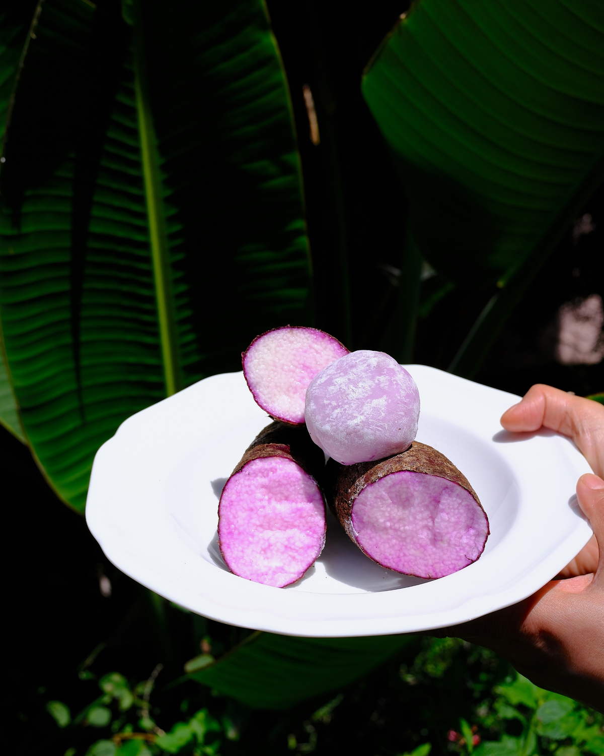 ube mochi (pack of 16)